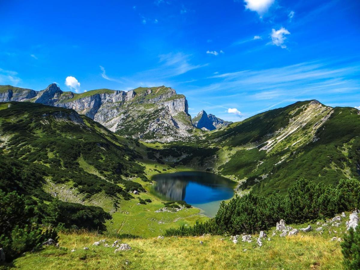 Apartment Alpbachtal *